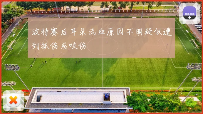 波特赛后耳朵流血原因不明疑似遭到抓伤或咬伤