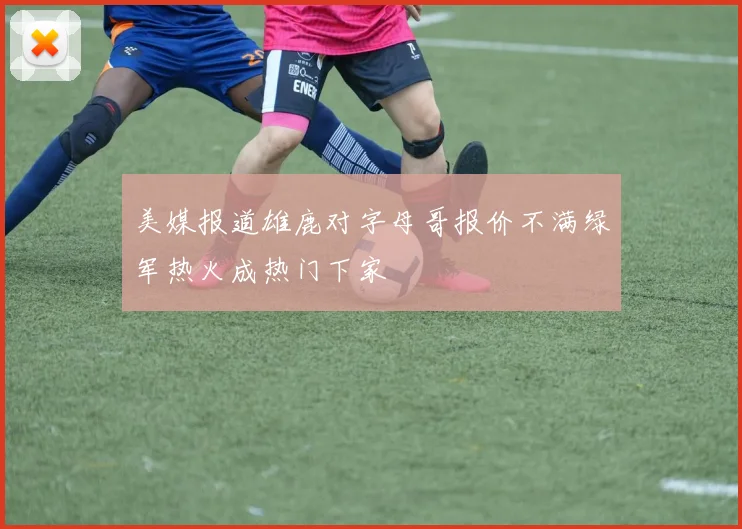 美媒报道雄鹿对字母哥报价不满绿军热火成热门下家