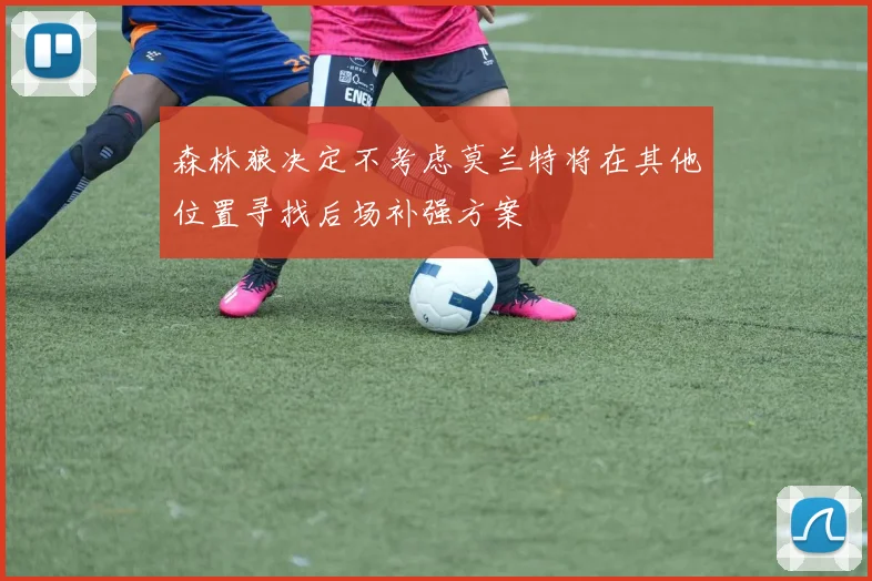 森林狼决定不考虑莫兰特将在其他位置寻找后场补强方案